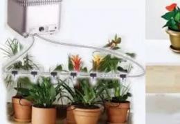Как выбрать оптимальную схему полива комнатных растений?